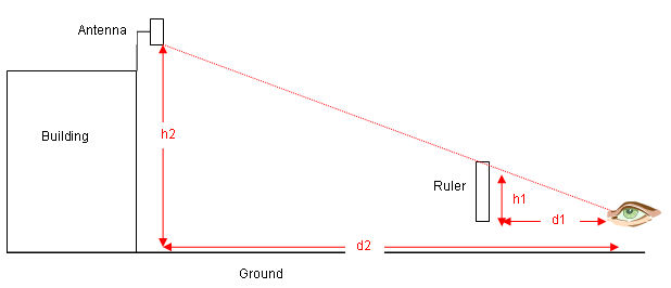 _images/using_a_ruler_to_estimate_height.jpg